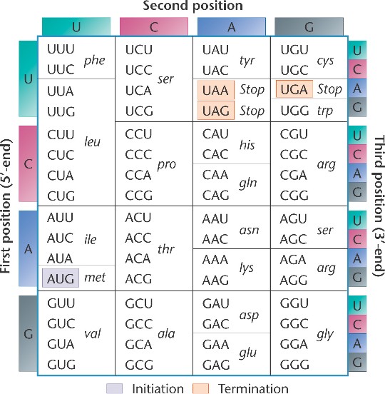 Genetic Code