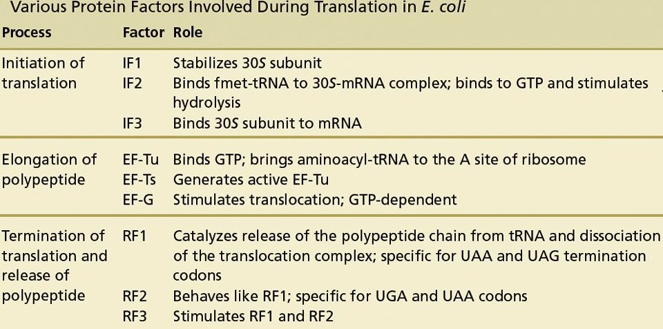 translation-initiation-factors-html-14-t01-translation-initiation