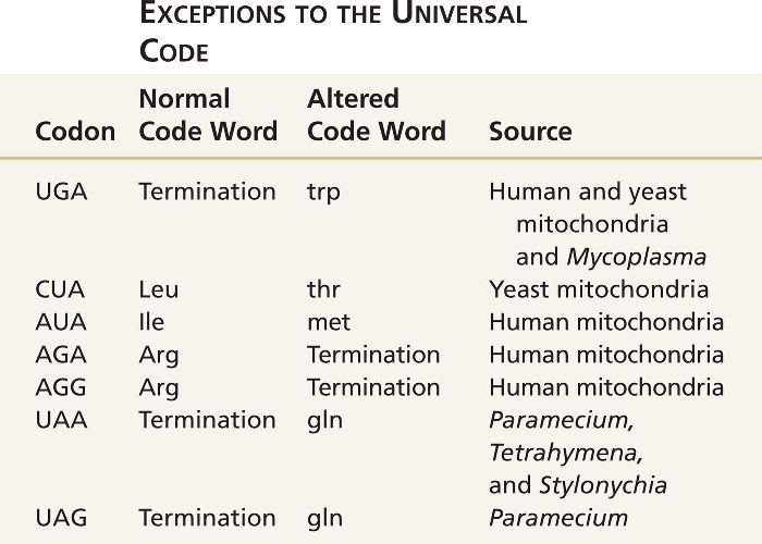 Genetic code Table. Exceptions. Gene code Table. The exceptions.